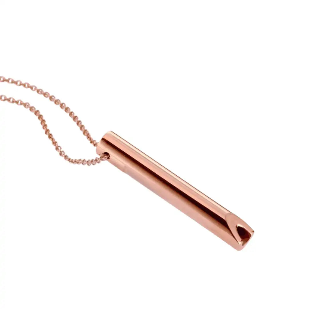 Stainless Steel Polished Whistle Pendant Necklace / KN1029