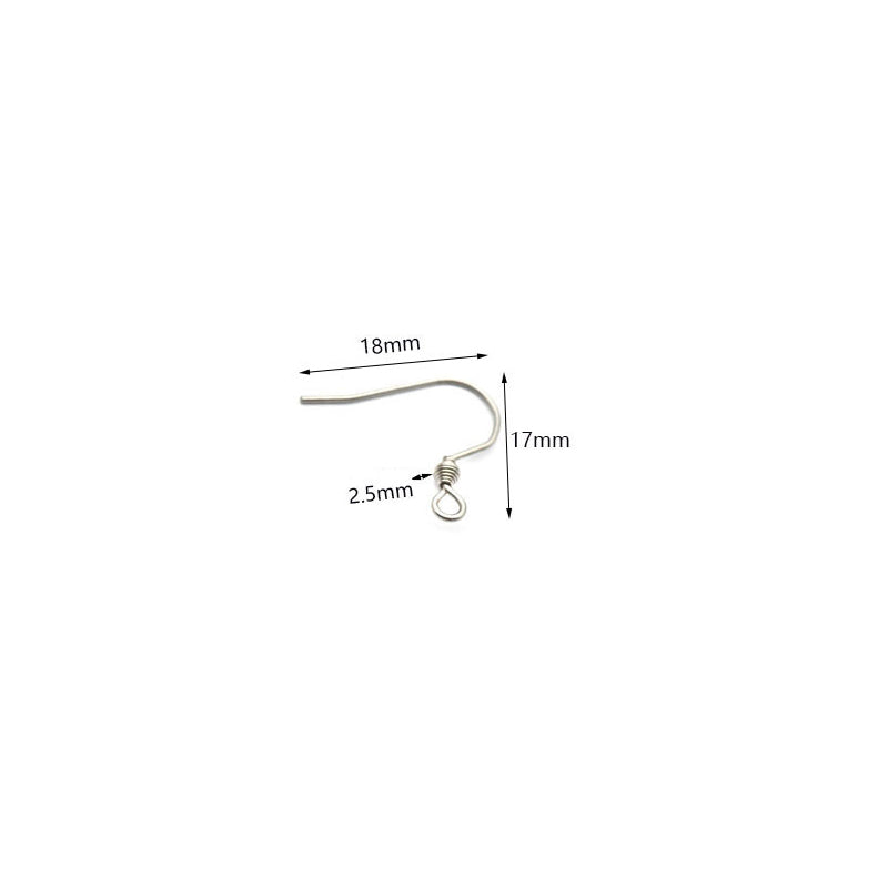 Various Size Stainless Steel Earring Hooks (pack of 200) / EF0004