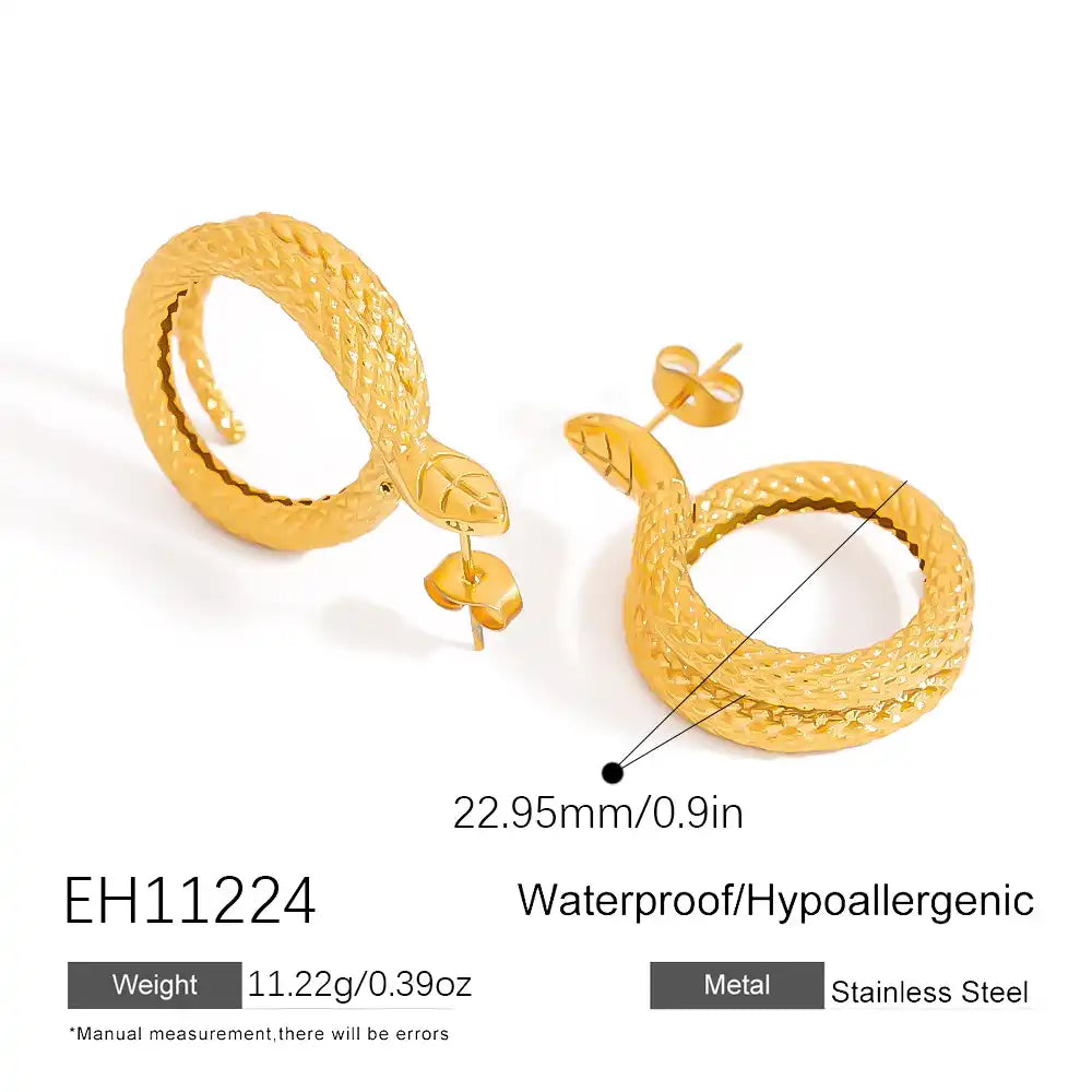 1 Pair Stainless steel irregular geometric fashion Stud earrings / 25104024